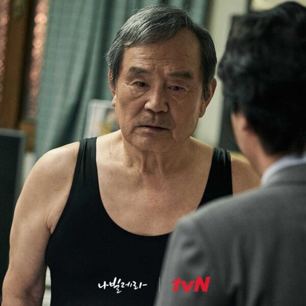 다음 웹툰 원작으로 드라마로 제작해 인기를 끈 '나빌레라' 사진=TVN