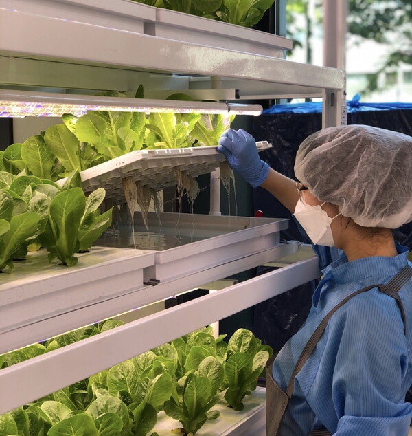 최지우 한국농수산대학교 학생