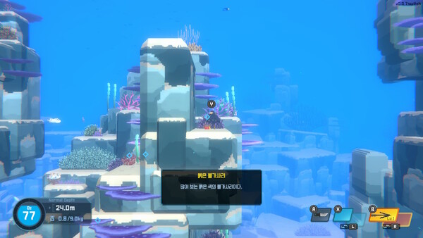 - 아름다운 바다 속 풍경