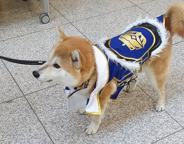 - 너무 귀여워...