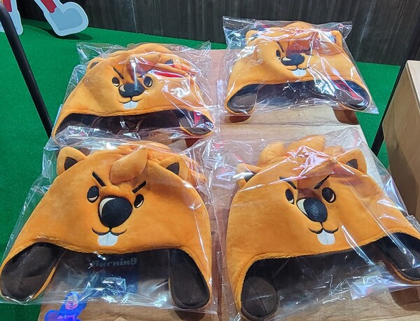 행사장 인싸 아이템 비버 모자