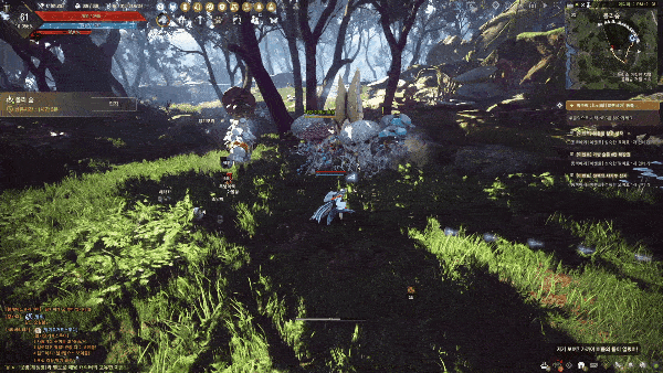 매구의 폴리숲 사냥