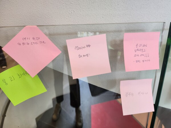 - 갤주는 역시 엘리시아