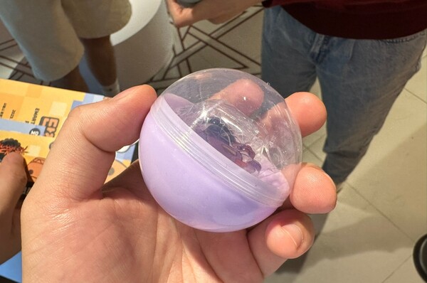 - 이번에도 플랑... 진짜 플랑과 뭐 있나