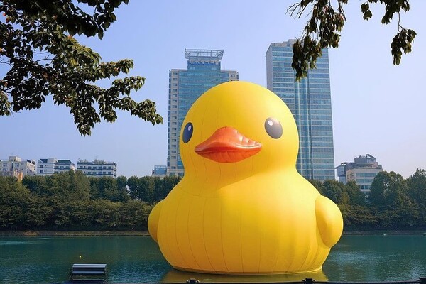 러버덕 프로젝트로 유명한 네덜란드 설치 미술가 ‘플로렌타인 호프만(Florentijn Hofman)’의 석촌호수 작품. 사진=아크피아