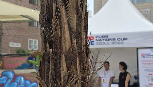 - 너도 배그 즐기니?