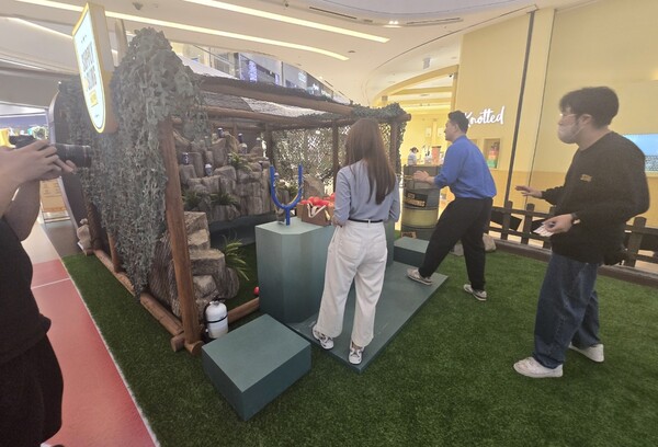 - 백팀, 청팀으로 나눠 경쟁을 펼치는 방식