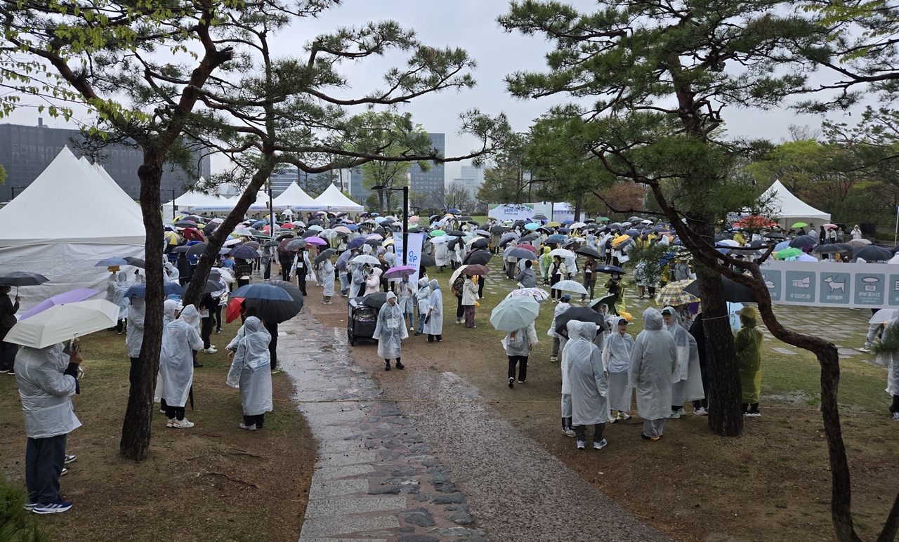 - 거센 비도 참가자들의 열정을 막을 순 없었다