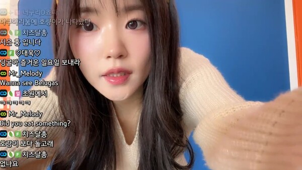 - 국내 및 글로벌 유저들과 소통하는 스트리머 홍딩굴