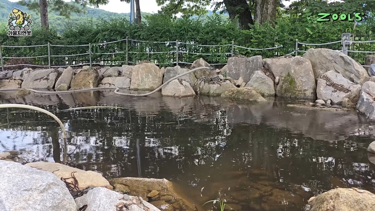 - 은별 연못의 모습 [출처: 김줄스 유튜브]