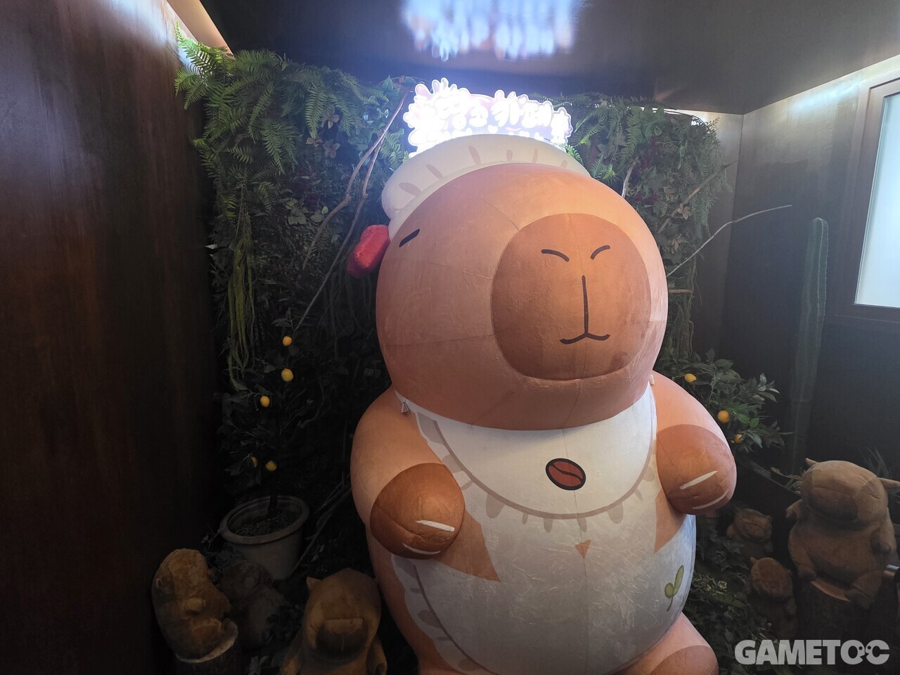 거대한 나미폰도 존재한다 (사진= 서동규 객원기자)