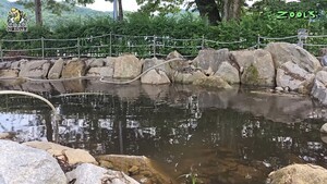 악취 풍기던 김줄스의 ‘은별 연못’이 달라졌다?